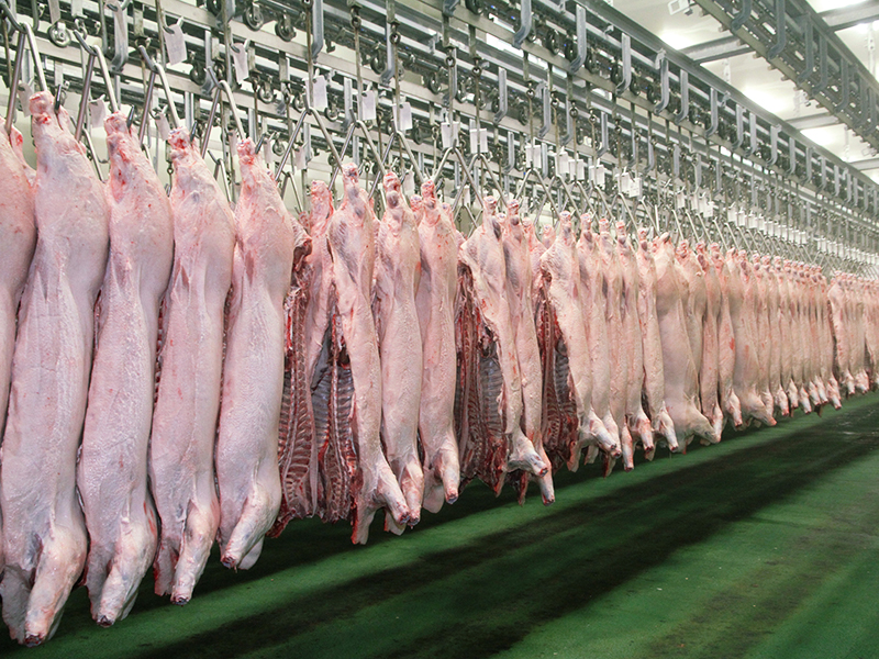 豚冷却室の画像