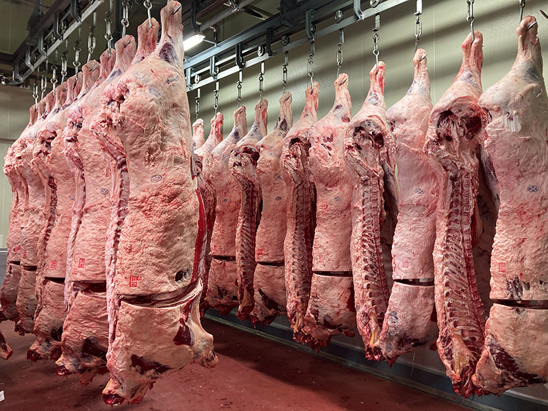 牛冷凍室の画像