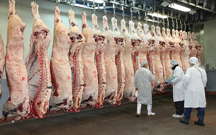 衛生・品質管理の取り組み